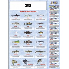 I - POSTER 35